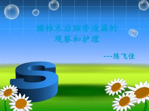 脑脊液漏的观察和护理ppt课件