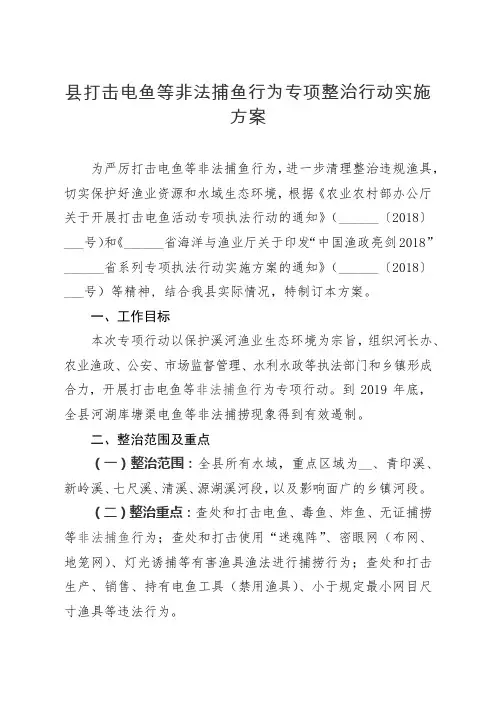 县打击电鱼等非法捕鱼行为专项整治行动实施方案【模板】