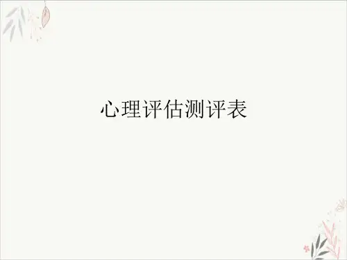 心理评估测评表课件-PPT