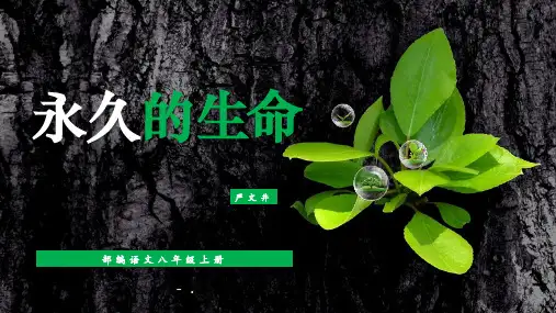 《永久的生命》PPT精品课件