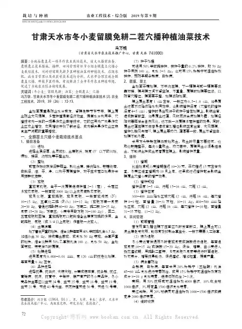 甘肃天水市冬小麦留膜免耕二茬穴播种植油菜技术