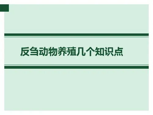 反刍知识点t PowerPoint 幻灯片