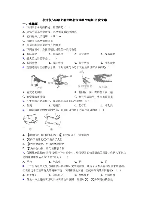 泉州市八年级上册生物期末试卷及答案-百度文库