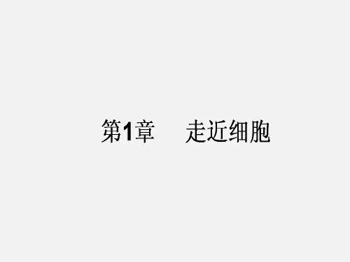高考生物 一轮复习 第1章 走近细胞 新人教必修1