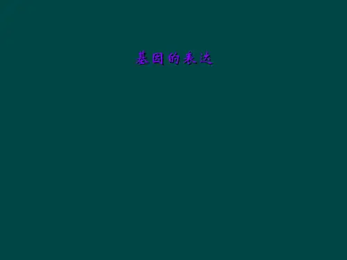 基因的表达