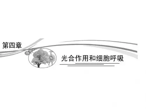 2013高考生物(苏教版)二轮复习课件 1-4-1 ATP和酶