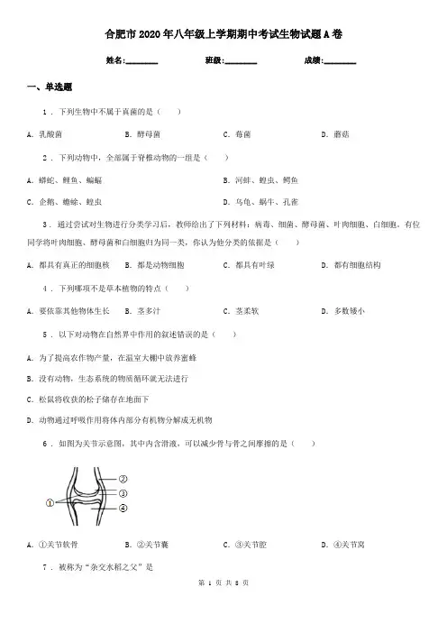 合肥市2020年八年级上学期期中考试生物试题A卷