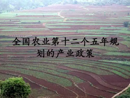 农业产业政策PowerPoint 演示文稿