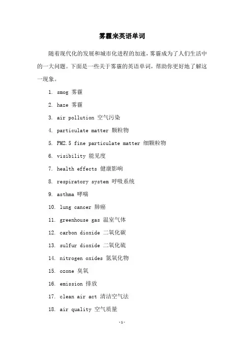 雾霾来英语单词