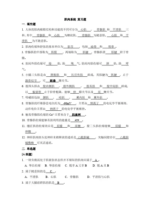 北航《解剖生理学》肌肉系统 复习题