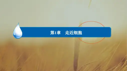 2018届高三生物总复习必修一课件：第1章 走近细胞1-1