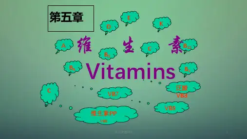 生物化学-维生素ppt课件