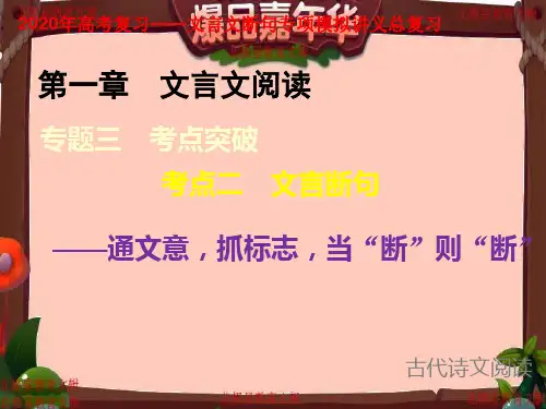2020年高考复习——文言文断句专项模拟讲义总复习