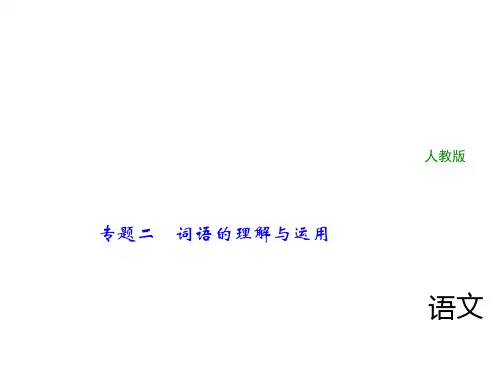 2018年中考语文(人教版,通用版)总复习课件：专题二词语的理解与运用(共29张PPT)