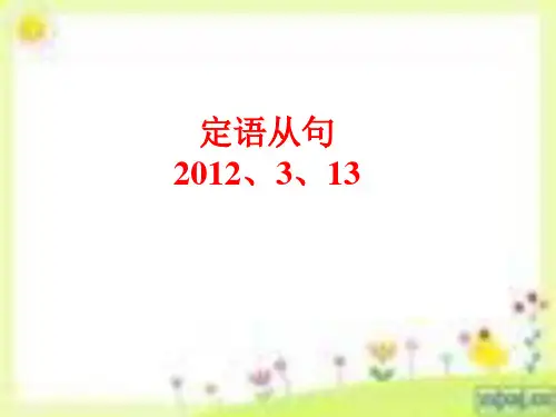 定语从句精讲精练