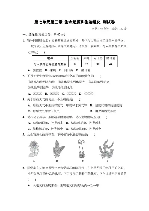 人教版生物八年级下册第七单元第三章 生命起源和生物进化 测试卷(含答案)