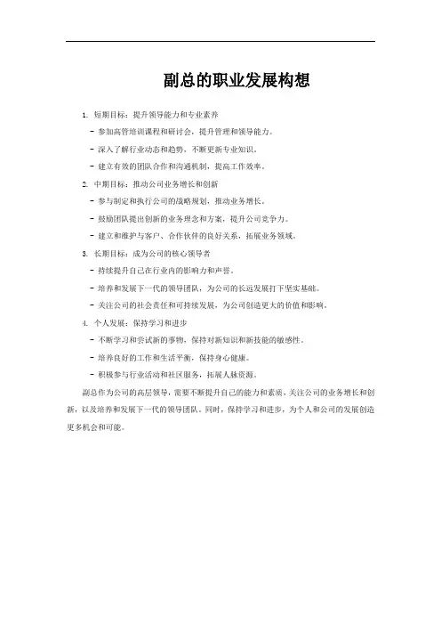 副总的职业发展构想