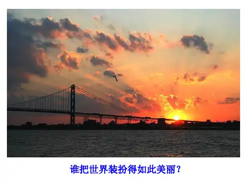 【新教材】人教版光的直线传播PPT精品课件1