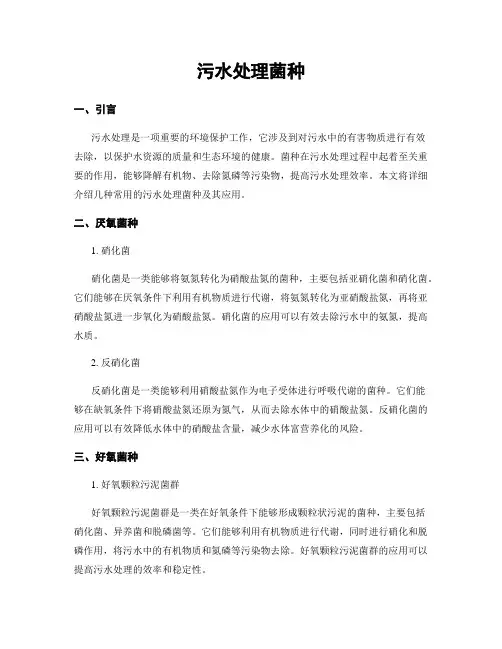 污水处理菌种