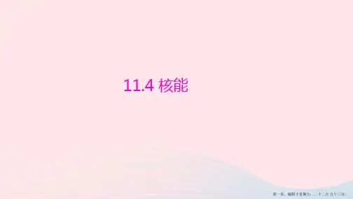 2022_2022学年九年级物理下册11.4核能课件新版教科版