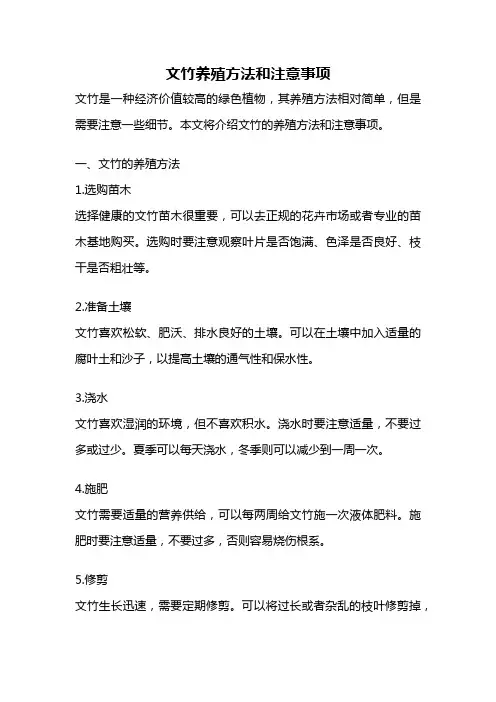 文竹养殖方法和注意事项