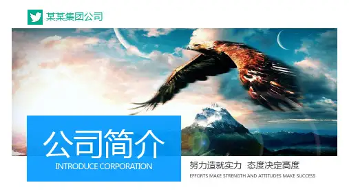 手机支付支付宝微信云闪付ppt