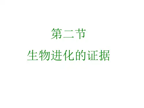 八年级生物生物进化的证据