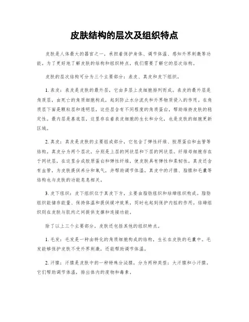 皮肤结构的层次及组织特点