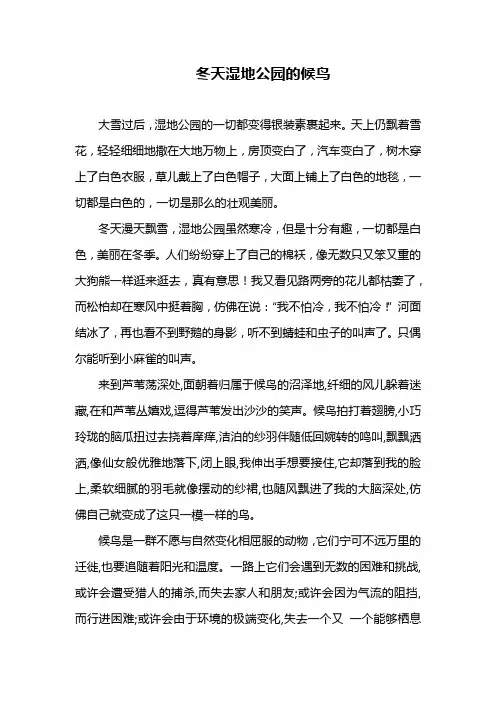 冬天湿地公园的候鸟作文