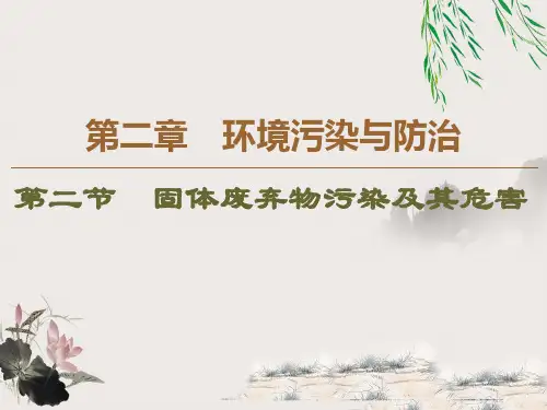 固体废弃物污染及其危害