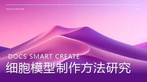 细胞模型制作方法