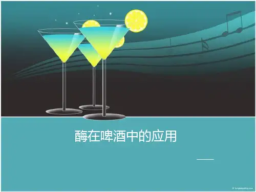 酶在啤酒中的应用