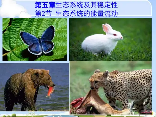 5.2 生态系统的能量流动33PPT