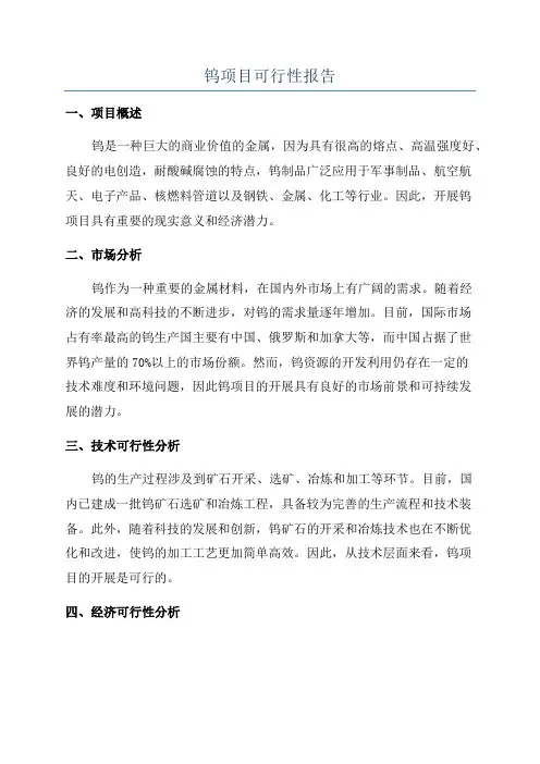 钨项目可行性报告