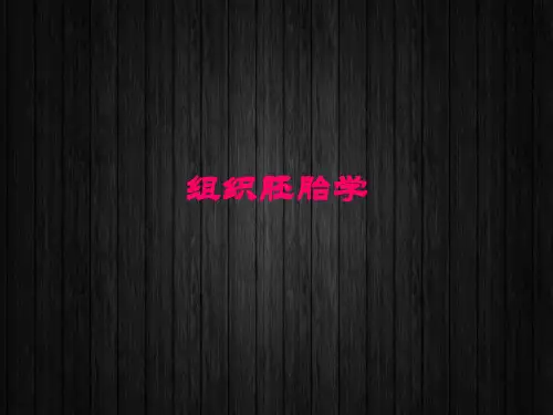 组织胚胎学--消化器官  ppt课件