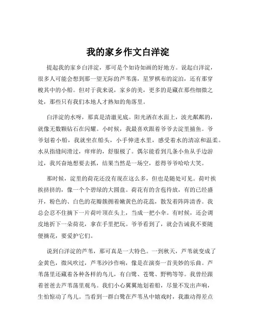 我的家乡作文白洋淀