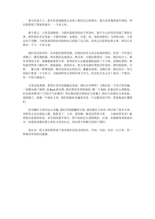 童年的玉米地