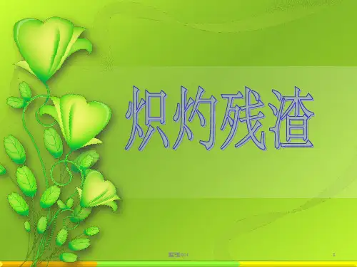 炽灼残渣检测