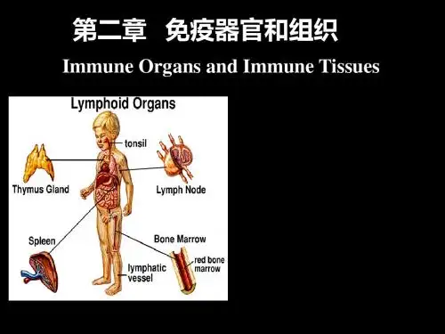 医学免疫学-第二章 免疫器官与组织 共59页