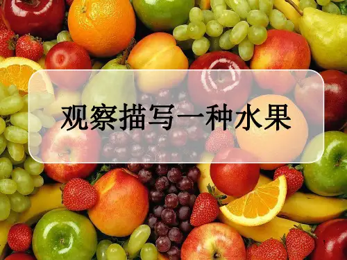 三年级作文习作《观察描写水果》(课堂PPT)
