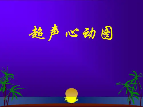 《超声影像诊断学》教学课件-超声心动图