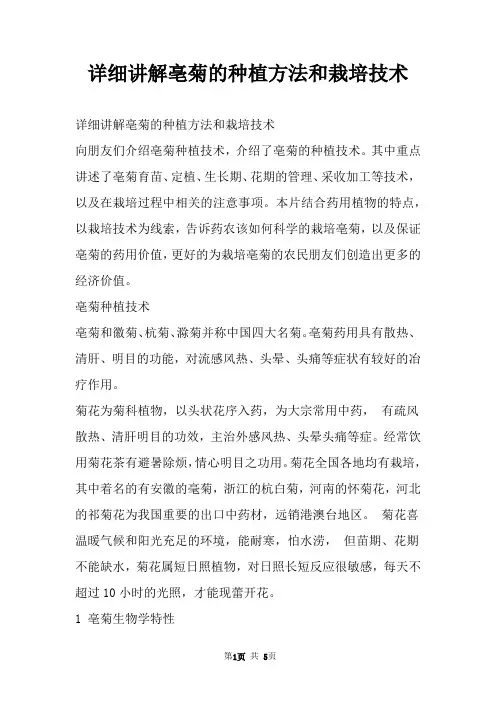 详细讲解亳菊的种植方法和栽培技术