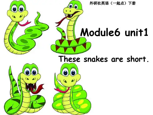 新标准 【一下】第二册 Module_6_unit1these_snakes_are_short