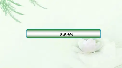 2018届高三语文一轮复习 扩展语句 课件(全国)(35张)