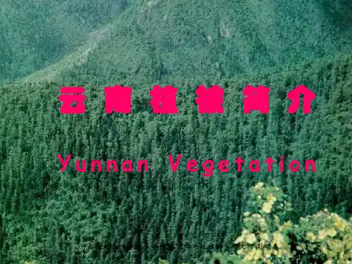 云南植被简介