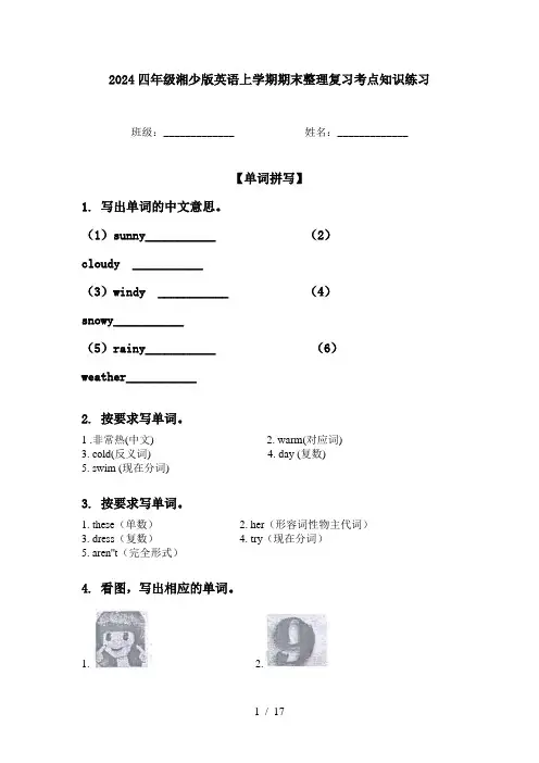 2024四年级湘少版英语上学期期末整理复习考点知识练习