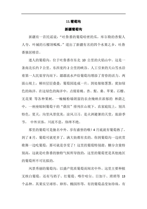 人教部编版小学语文二年级11.葡萄沟(类文)