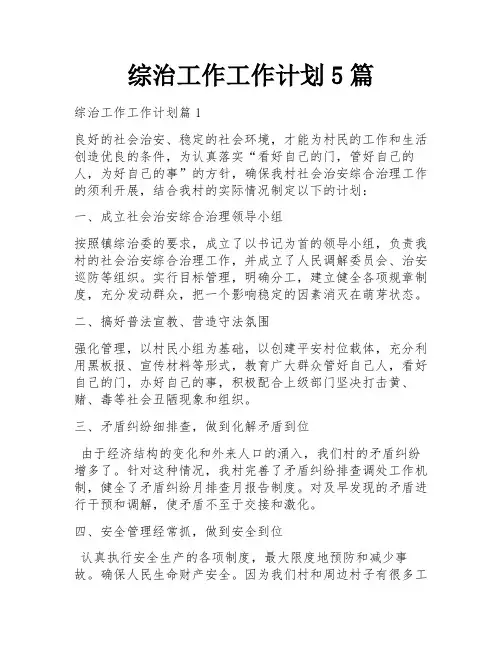 综治工作工作计划5篇