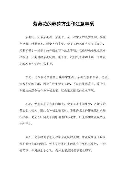 紫薇花的养殖方法和注意事项