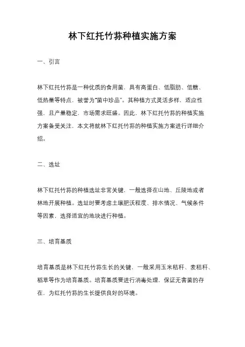 林下红托竹荪种植实施方案